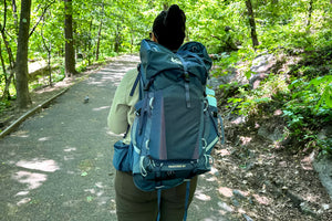 The Perfect Travel Companion